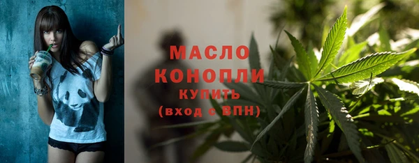 спиды Богородицк