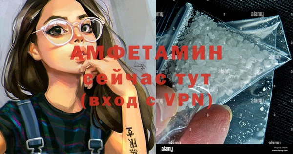 спиды Богородицк