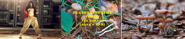 альфа пвп VHQ Богородск