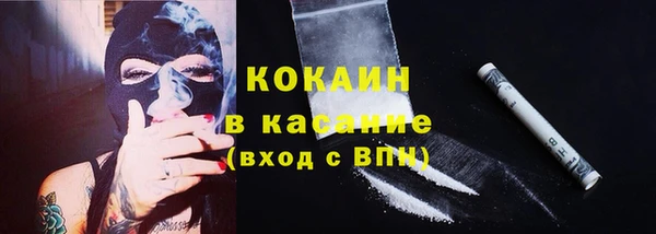 спиды Богородицк