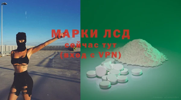 гашик Богданович