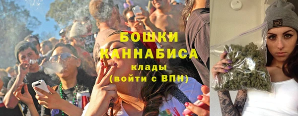 гашик Богданович