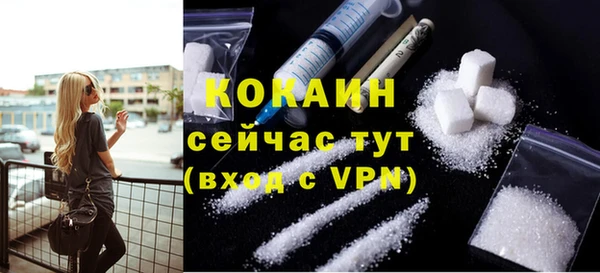 гашик Богданович