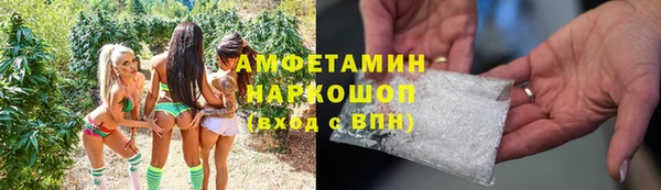 спиды Богородицк
