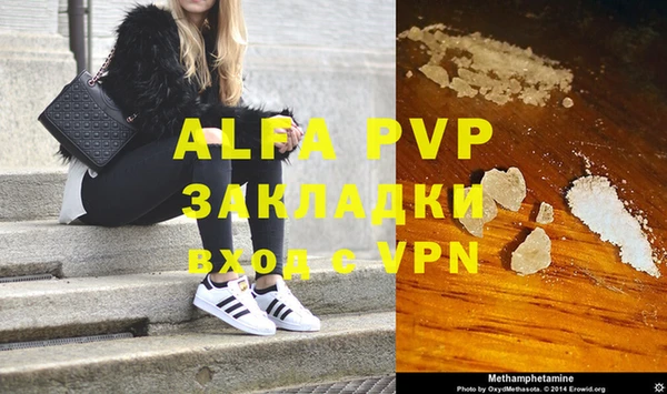 гашик Богданович